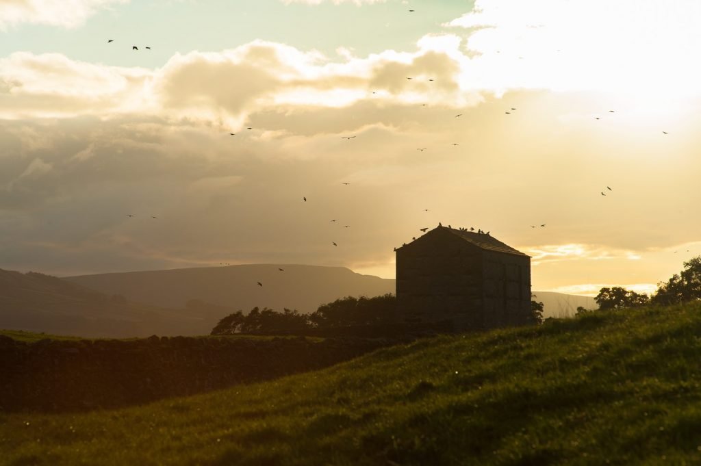 Yorkshire barn at sunset with birds flying, golden hour mood, romantic landscape.