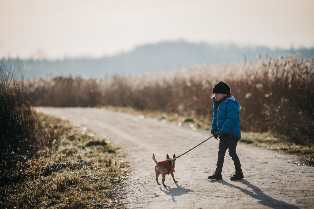 Boy walking dog on leash in Yorkshire countryside, natural light, candid style.